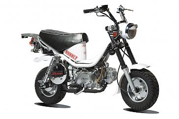 motorcycle photo SKY TEAM - BUBBLY 125(2015) MINI MOTO
