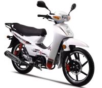 Motorcycle Photo